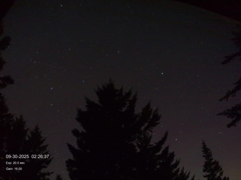 2025-09-30 02:26 Pink