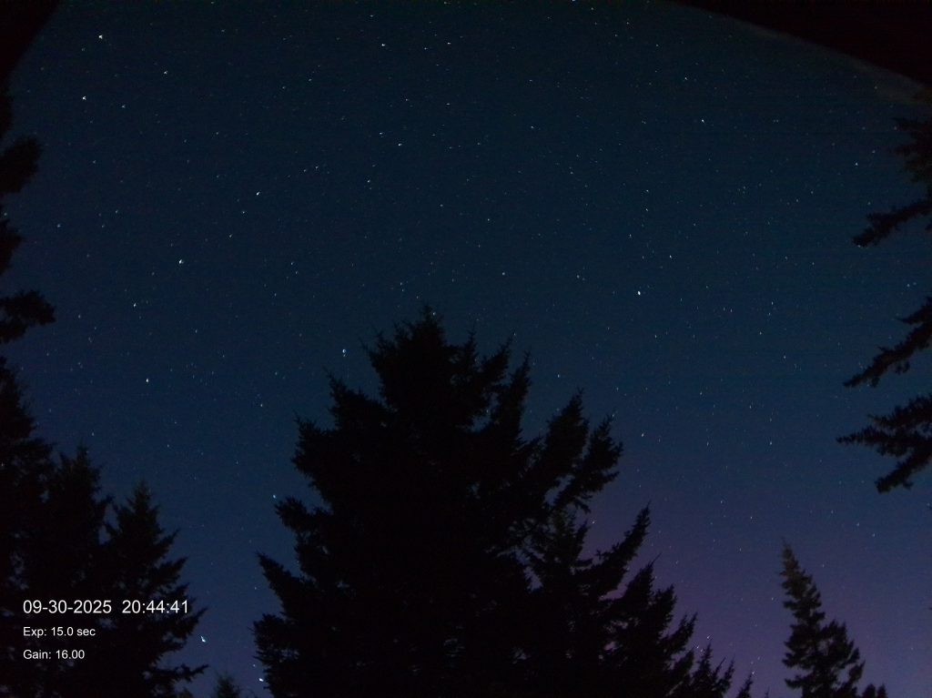 2025-09-30 20:44 Pink