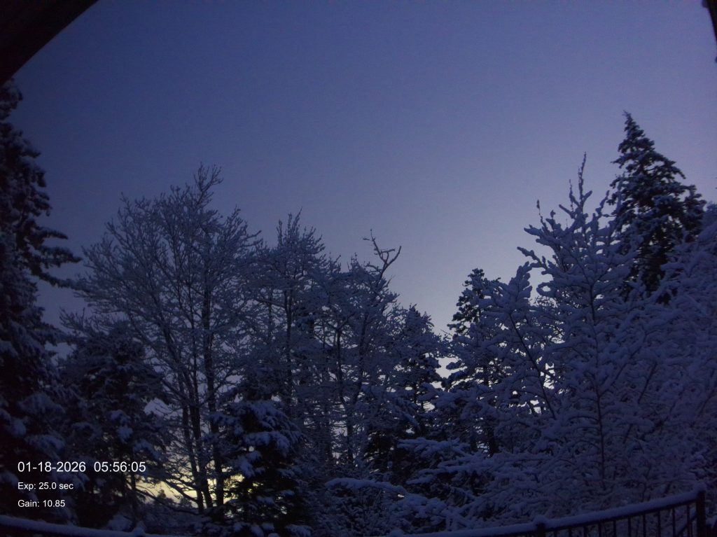 2026-01-18 05:56 Lavender Morning