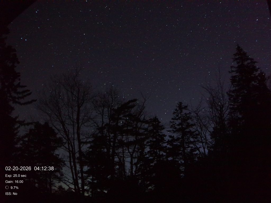 2026-02-20 04:12 Pink